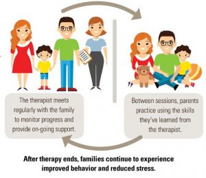Family Therapy Infographic